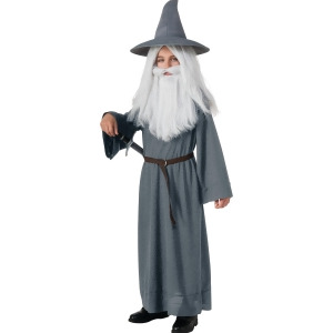 Child's The Hobbit Gandalf Costume - Boys Large (12-14) for ages 8-10 approx 31"-34" waist~ 55-60" height