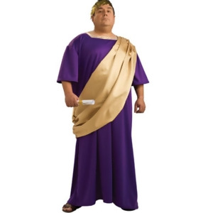 Men's Full Figure Caesar Roman Century Senator Costume Mens Standard 44 44 chest 5'9 5'11 approx 170-190lbs - All