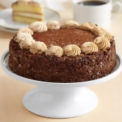 Tiramisu Classico Cake Tiramisu Classico Cake