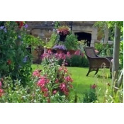 One Night Romantic Break at Allington Manor One Night Romantic Break at Allington Manor