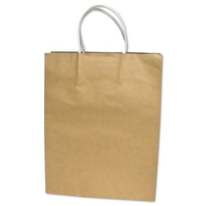 Premium Large Brown Paper Shopping Bag 50/Box - All