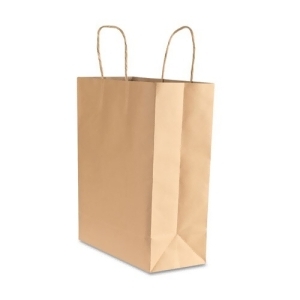 Premium Small Brown Paper Shopping Bag 50/Box - All