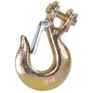 Grade 70 Clevis Slip Hooks W/Latch - All