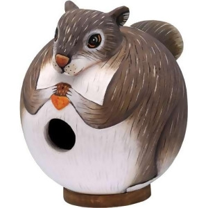 Songbird Essentials Squirrel Gord-O Birdhouse - All