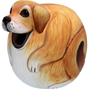 Songbird Essentials Yellow Lab Gord-O Birdhouse - All