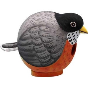 Songbird Essentials Robin Gord-O Birdhouse - All