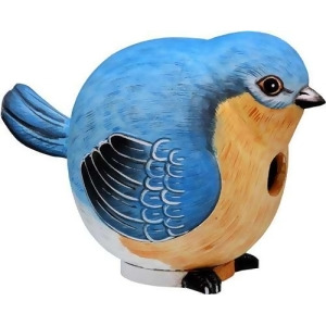 Songbird Essentials Bluebird Gord-O Birdhouse - All