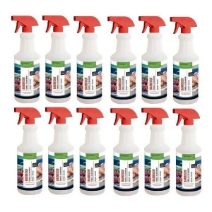 Natural Soy Products Citric Acid Cleaner Rtu 22 Oz. Spray 12/Cs - All