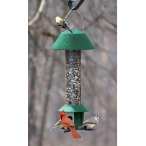 Songbird Essentials Squirrel Defeater Seed Feeder - All