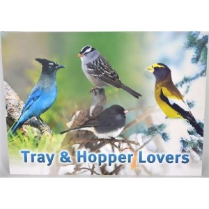 Songbird Essentials Tray and Hopper Lovers Sign - All