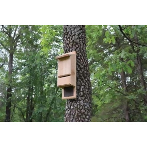 Songbird Essentials Mini Bat Tower - All