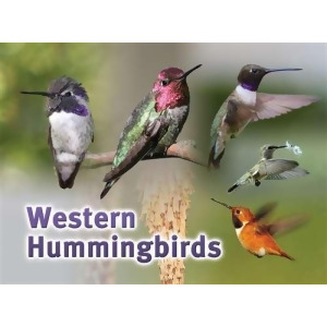 Songbird Essentials Western Hummingbird Sign - All