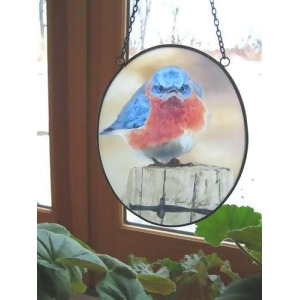Songbird Essentials Mad Bluebird Suncatcher 6.75 x 5.5 Inches - All