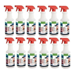 Natural Soy Products Bbq Grill Cleaner 22 Oz. Spray-12/CS - All