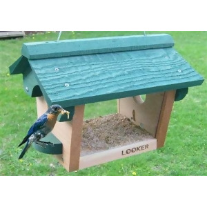 Songbird Essentials Bluebird Feeder - All