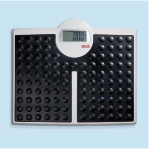 Seca 813 Digital Floor Scale Auto-Zero 440 Lb. Capacity - All