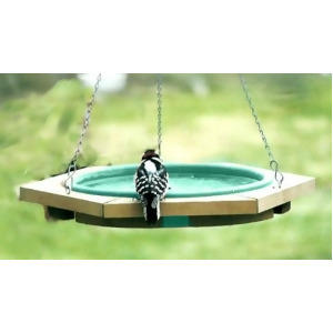 Songbird Essentials Mini Hanging Bird Bath Green - All