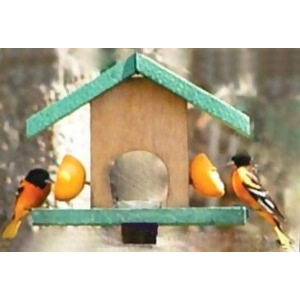 Songbird Essentials Oriole Feeder Cedar - All