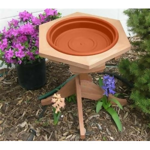 Songbird Essentials Mini 14 inch Garden Bird Bath Clay Tray - All