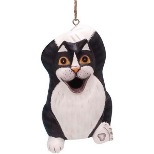 Songbird Essentials Chillin' Black White Cat Birdhouse - All