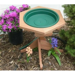 Songbird Essentials Mini Garden Bird Bath Green - All