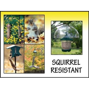 Songbird Essentials Squirrel Resistant Sign - All