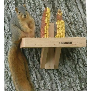 Songbird Essentials Squirrel Feeder - All