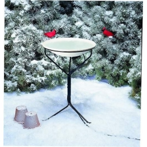 Allied Precision 20 in. Heated Bird Bath w/Metal Stand - All