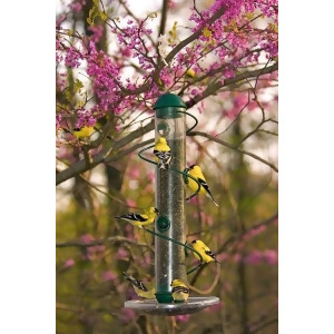 Birdquest Green Spiral Sunflower Feeder 17 Inch - All