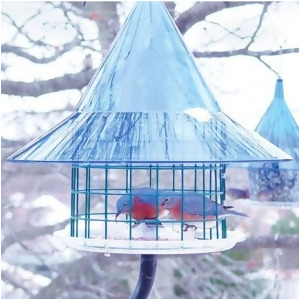 Arundale Sky Cafi Bluebird Feeder - All