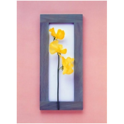 Panoramic Images PPI117889 Rectangular purple frame with yellow flowers on green stems in center on pink background Poster Print by Panoramic Images - 27 x 36 