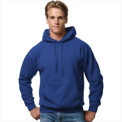 hanes hoodie sweatshirt