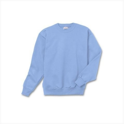 hanes blue sweatshirt