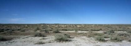 Panoramic Images PPI119707L Herd of springboks - Antidorcas marsupialis grazing in a landscape Etosha National Park Kunene Region Namibia Poster Print by Panoramic Images - 36 x 12 