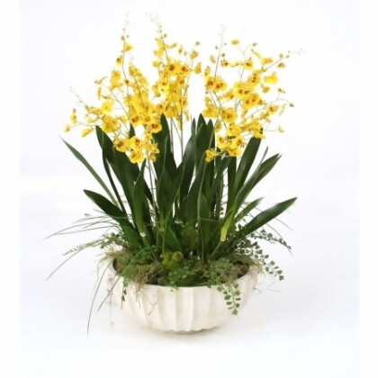 Distinctive Designs International 9853 Gold-Yellow Dancing Orchids with Grass in Large Fluted Bowl 