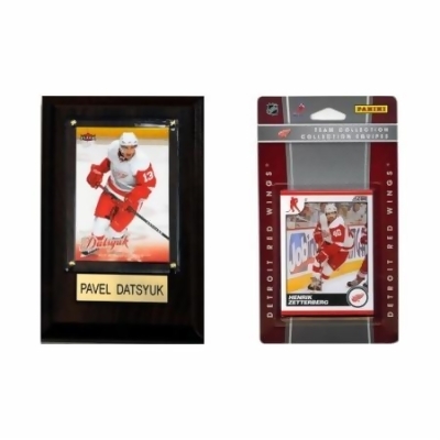 CandICollectables 10DREDWINGSFP NHL Detroit Red Wings Fan Pack 