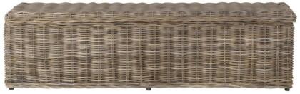 Safavieh SEA7017A Caius Trunk, Grey - 18.7 x 18.1 x 63 in.