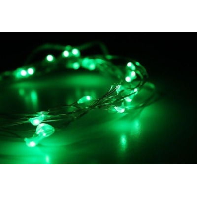 Perfect Holiday 600016 Battery Operated copper 20 LED String Light