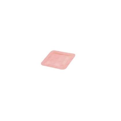 Smith & Nephew 5466800270 4 x 4 in. Gentle Border Gel Adhesive Hydrocellular Foam Dressing