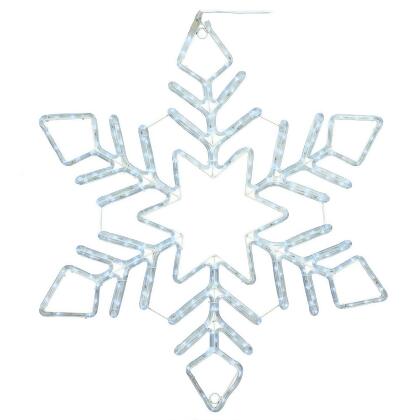 Vickerman X176324T 24 in. Pure White LED Twinkle Star Snowflake 