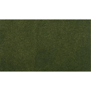 Woodland Scenics Woo5123 50 x 100 in. Forest Grass Mat - All