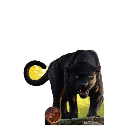 Carolina Panthers Bagheera