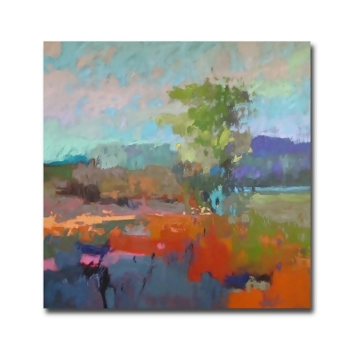 Artistic Home Gallery 36364837IG Colorfield XII by Jane Schmidt Premium Oversize Gallery-Wrapped Canvas Giclee Art - 36 x 36 in. 