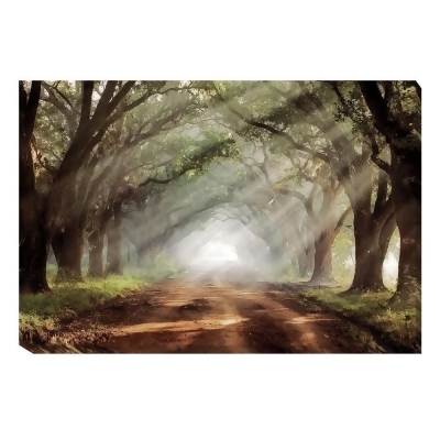 Artistic Home Gallery 1218473EG Evergreen Plantation by Mike Jones Premium Gallery-Wrapped Canvas Giclee Art - 12 x 18 in. 