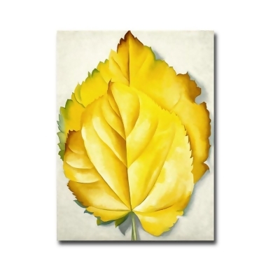 Artistic Home Gallery 1216734BG Yellow Leaves by Georgia O-Keeffe Premium Gallery Wrapped Canvas Giclee Art - 12 x 16 x 1.5 in. 