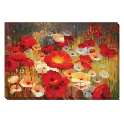 Artistic Home Gallery 1624B772EG Meadow Poppies I by Lucas Santini Premium Gallery-Wrapped Canvas Giclee Art - 16 x 24 x 1.5 in. 