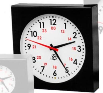 ESE ESE-LX5112UNTPCP 12 in. Self-Setting Analog Clock with NTP-C & PoE Option 