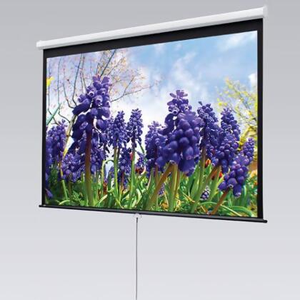 Draper DR-207009 60 x 80 in. 4-3 NTSC Video Format Matt Luma Screen - White