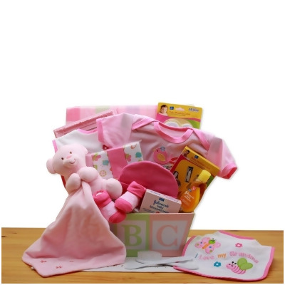 GBDS 890332-P Easy as ABC New Baby Gift Basket - Pink 