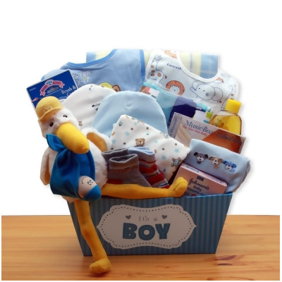 GBDS 890652-B A Special Delivery New Baby Gift Basket - Blue 